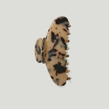 Kitty Paloma Grande - Tortoiseshell